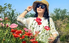 谁能百里挑一全集